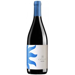 Red wine Merlot Ca’Tullio D.O.C. Friuli Colli Orientali