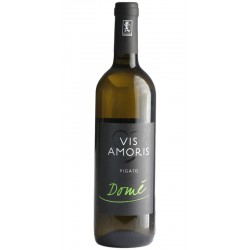White wine bottle Pigato Domé from Liguria