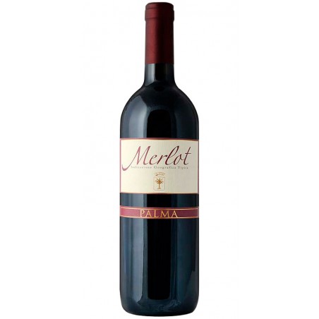 Merlot - Red - Wine