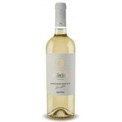 Italian white wine from abruzzo Collection Bianco bottle
