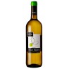 Italian Wine Pinot Bianco VENETO IGT Bottle