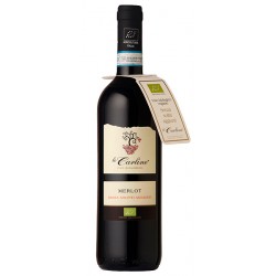 Italian wine Merlot DOC Lison Pramaggiore BIO without sulphites bottle
