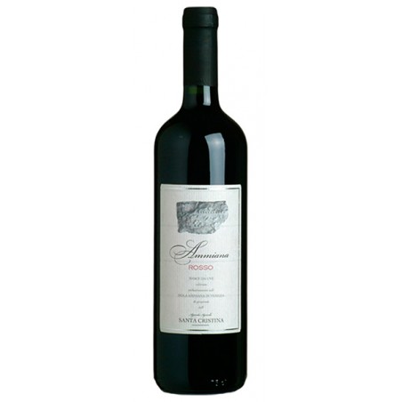 Italian Red wine Ammiana IGT Rosso del Veneto BIO bottle