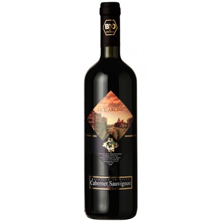 Italian red wine Cabernet Sauvignon DOC Lison Pramaggiore bottle