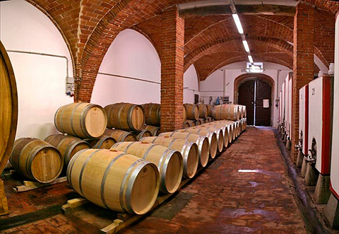 The cellar in Tuscany