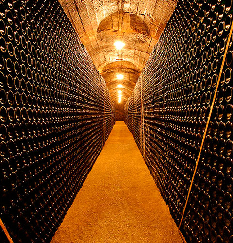 The wine Cellar