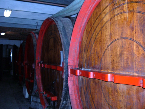 Wood barrels in the Cellar