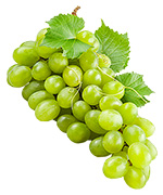Grapes Falanghina