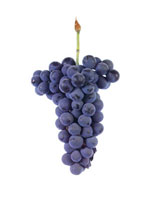 Grapes Vinhao